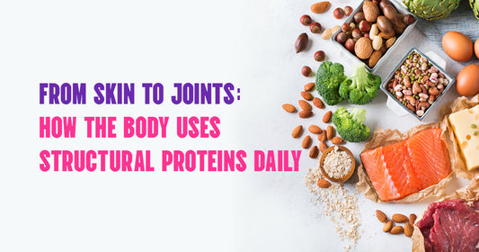 From Skin to Joints: How Your Body Runs on Structural Proteins Every Single Day