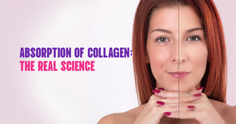 How the Body Actually Uses Collagen (The Real Science)
