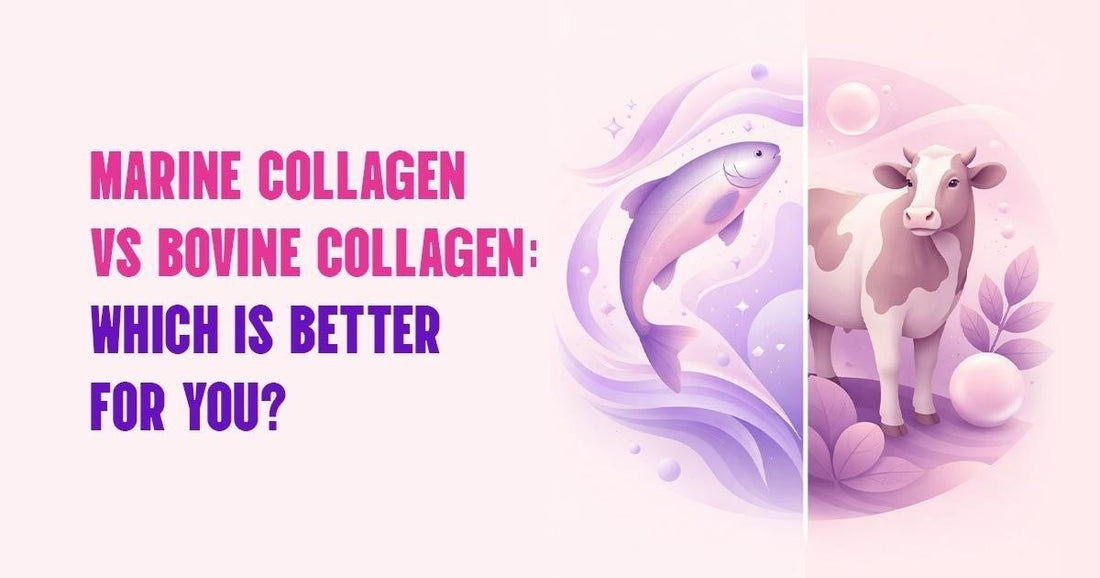 Marine Collagen vs Bovine Collagen: Which Is Better for You? – Nitta ...