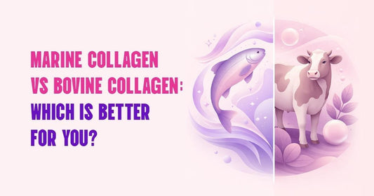 Marine Collagen vs Bovine Collagen: Which Is Better for You?